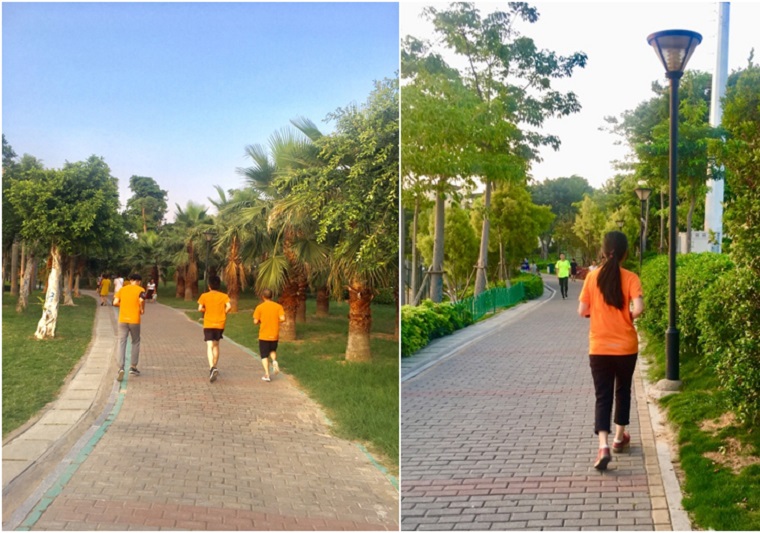 ����˹8040����