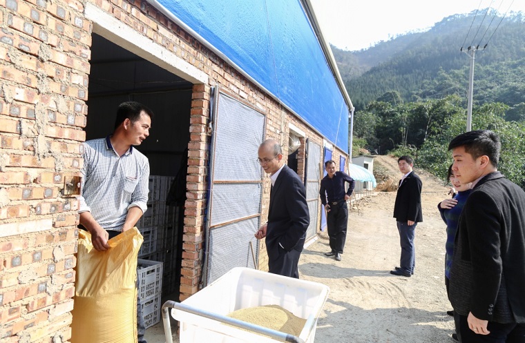 ����˹8040����