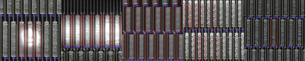 ����˹8040����