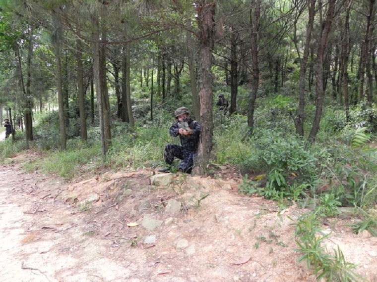 ����˹8040����