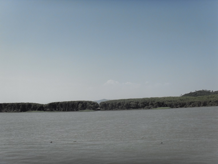 ����˹8040����