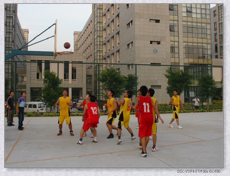 ����˹8040����