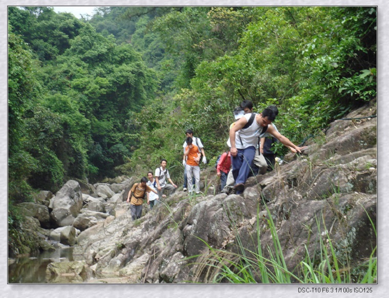 ����˹8040����