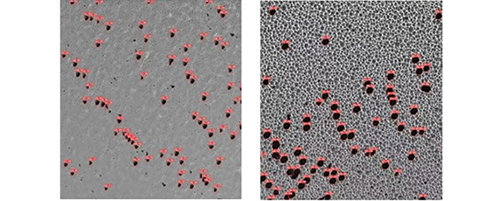 ����˹8040����