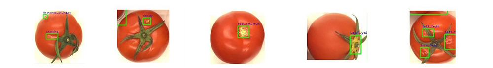 ÍþÄá˹8040¹ÙÍø