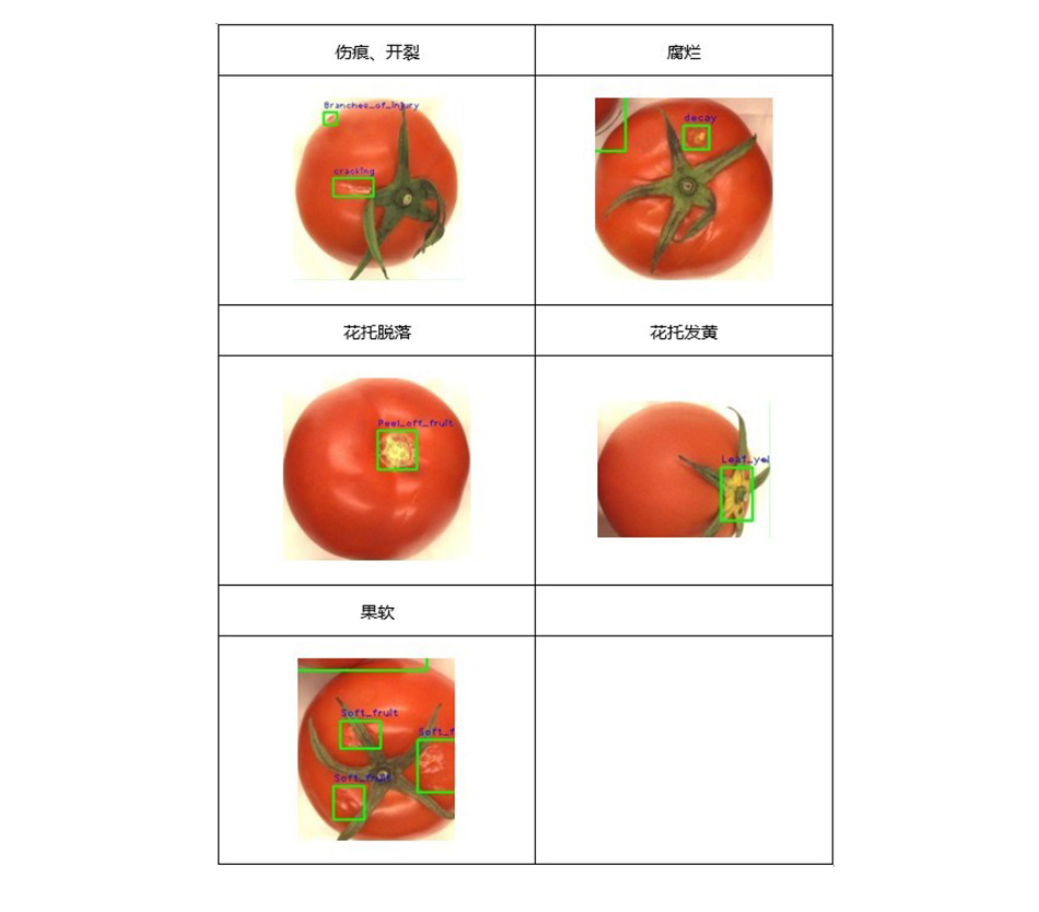 ����˹8040����